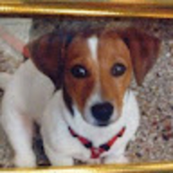 Meet your Posher, Denise - Picture 1 of 1